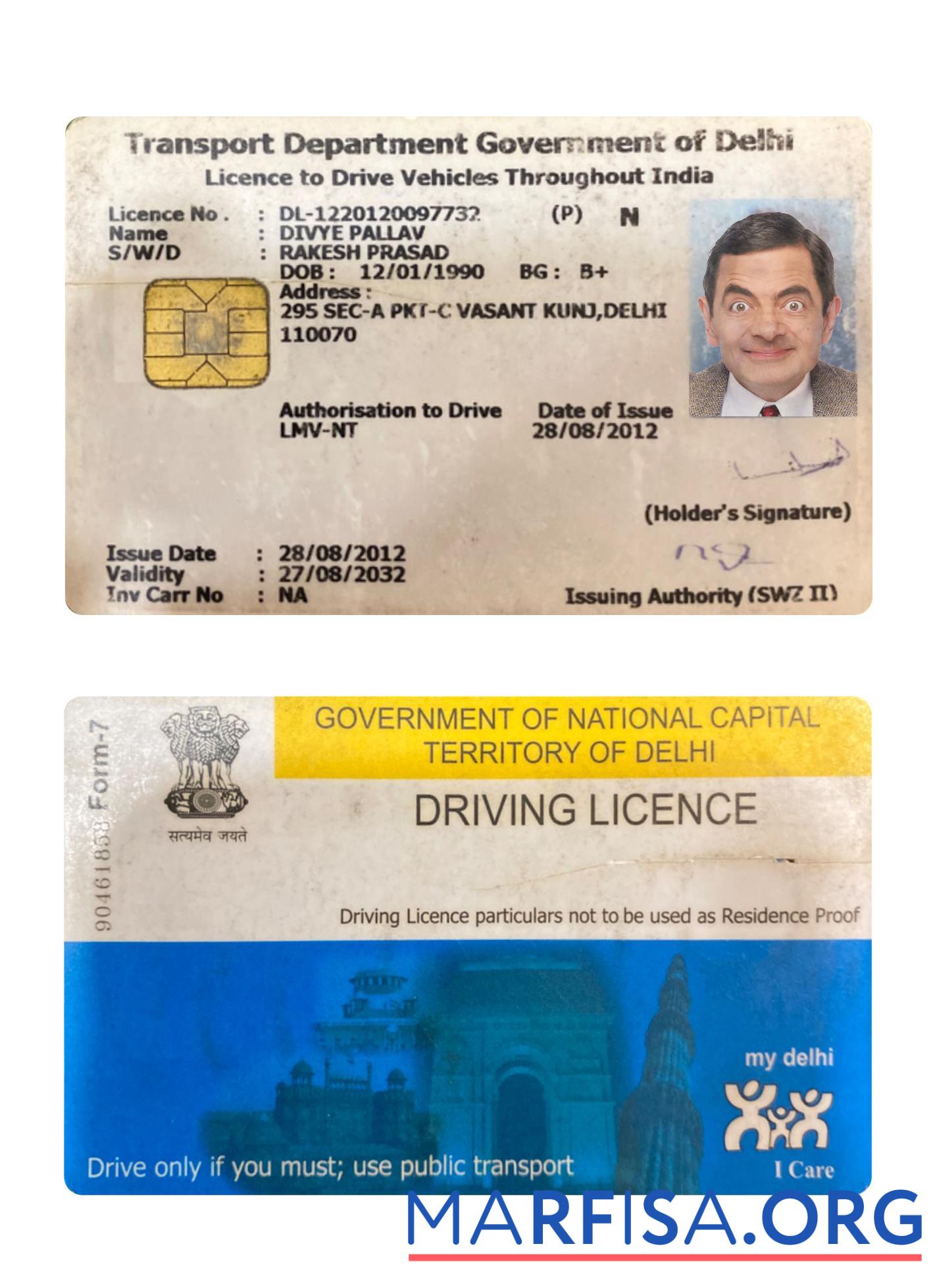 Printable India Delhi driving license template